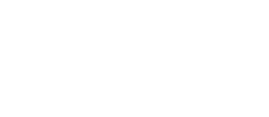 Stripe payment system